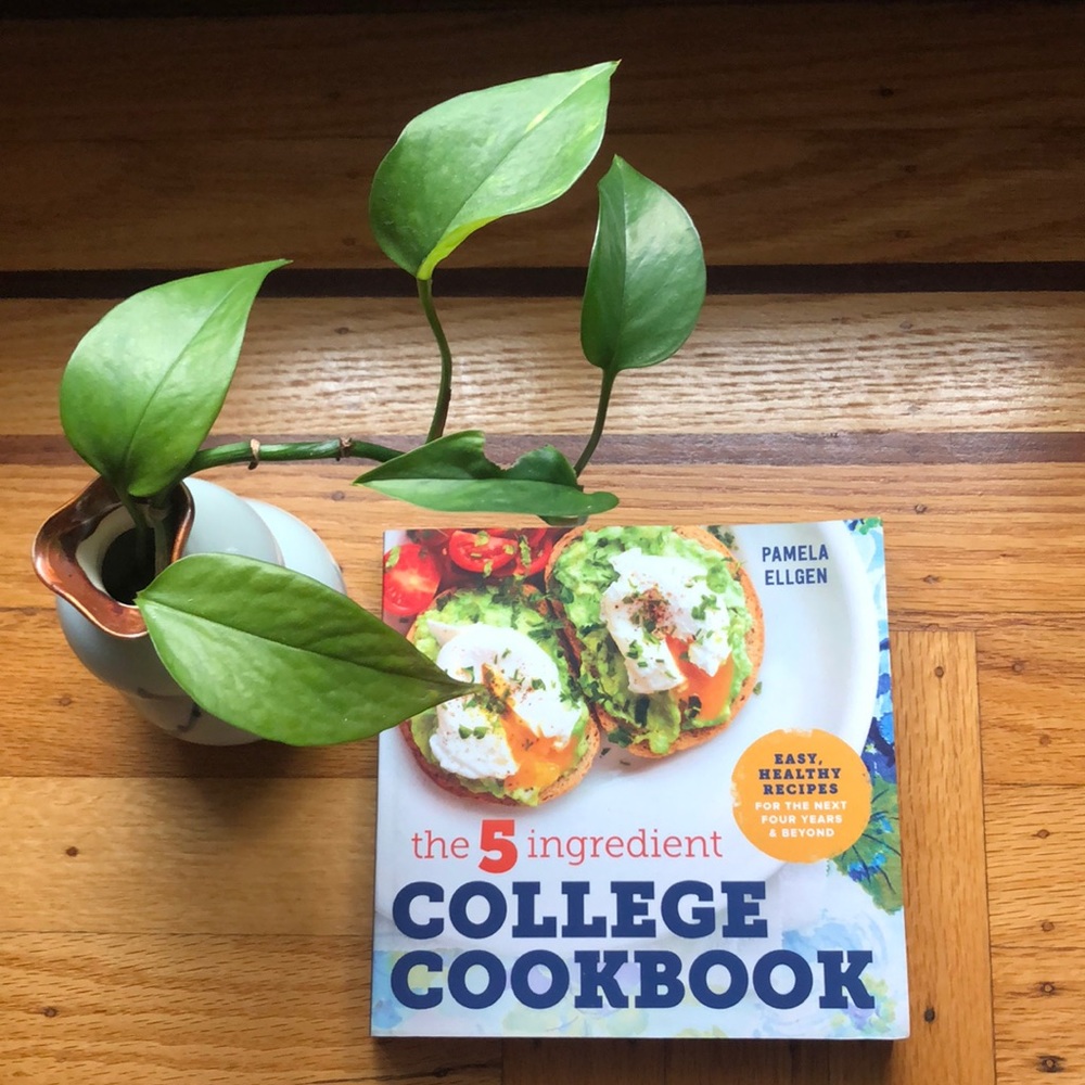 New 5 Ingredient Easy Healthy Recipes College Cookbook by Pamela Ellgen